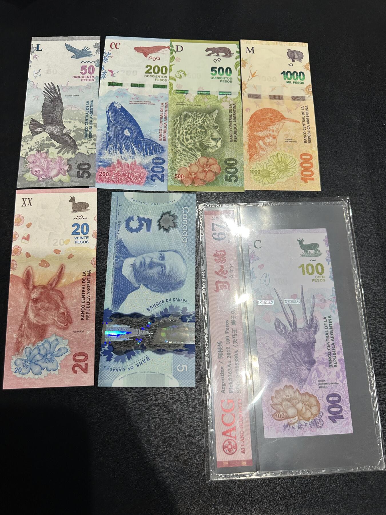 《外钞收藏家》第六百一十期（新年假期场/年后快递恢复正常再发货）（长期征集拍品、欢迎藏友们联系合作） 阿根廷20-1000比索6张一起+加拿大塑料钞5元 全新