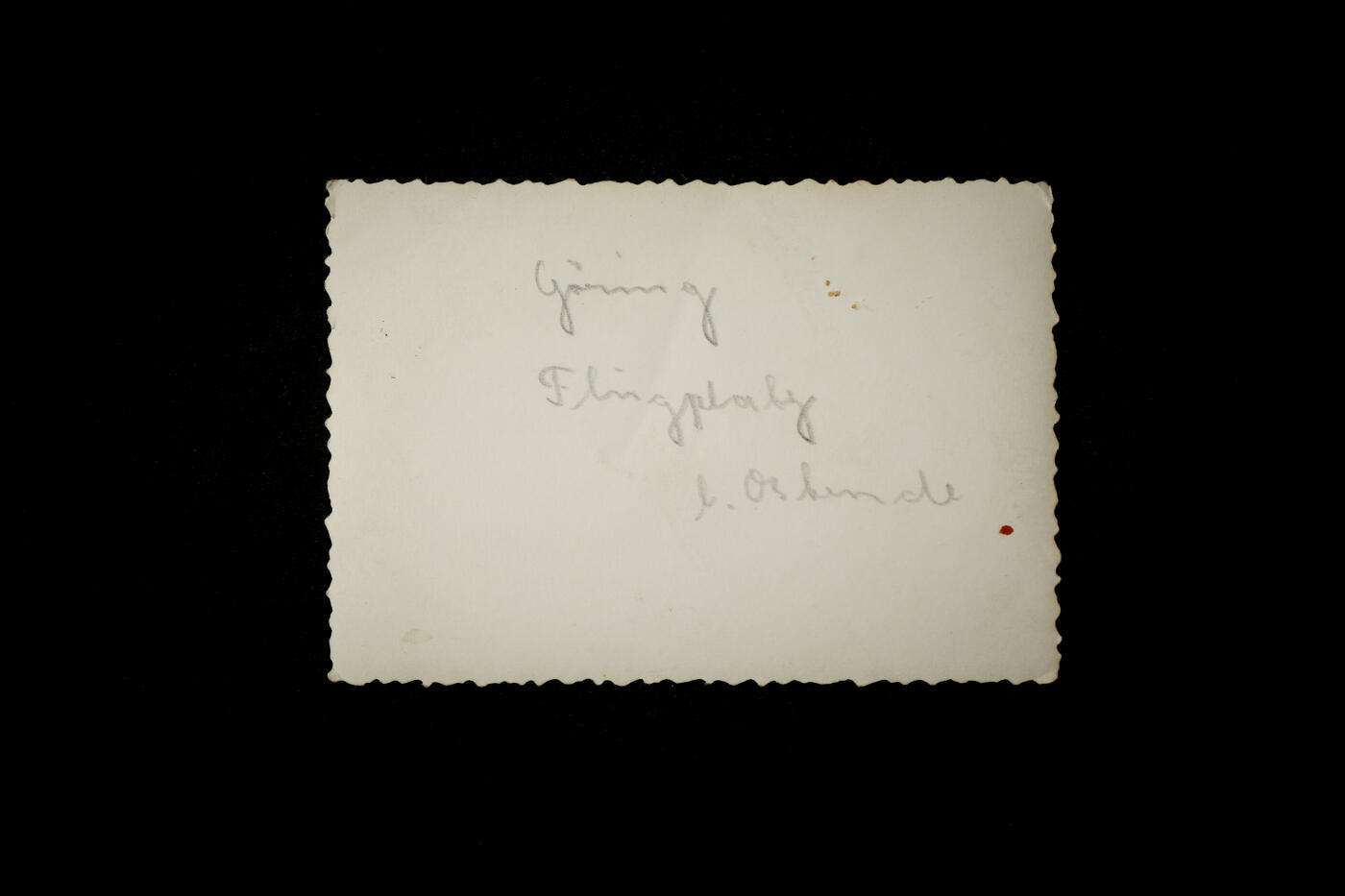 欢庆春节！戎马世界章牌大赏第112期春节大拍  德专场 戈林视察部队的原版照片 非常清晰 可以看到戈林的一堆脖子