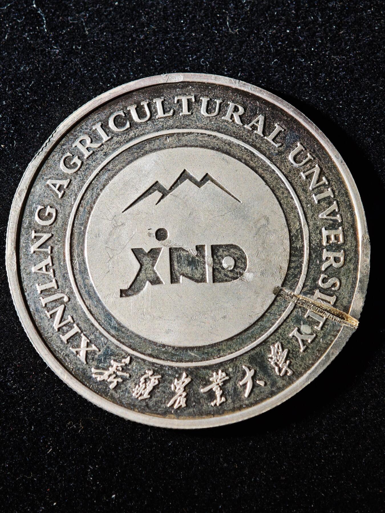 117期新疆红钱粟特钱币丝路钱币专场 纪念章