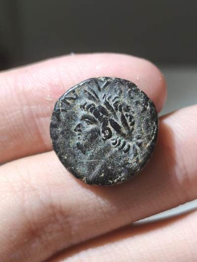 星盘世界钱币二月二十一日初五 世界古典币春节精品大拍 祝各位藏友马年大吉-新年新气象！ - 美品！罗马帝国-图密善 SC - “元老院授权” 81-96年 东方城市厚重大铜币 这种类型铜币可能由中央造币并在地方使用