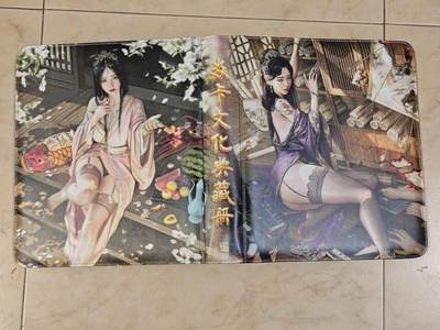 夜之极第三十九期 （2月11日周三晚9点截拍，欢迎竞拍） - 【卡册】炎卡文化 典藏册 A4 D环 无卡页