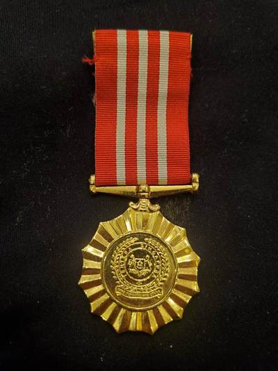 （450件拍品！制服徽章盛宴）罗岚⭐爱藏⭐年前甄选大拍场-店主清仓处理-分享拍场额外现金红包（实体经营） - 新加坡预备役部队长期服务奖章 铜镀金 少见 颁发给军官 闪闪发光非常漂亮