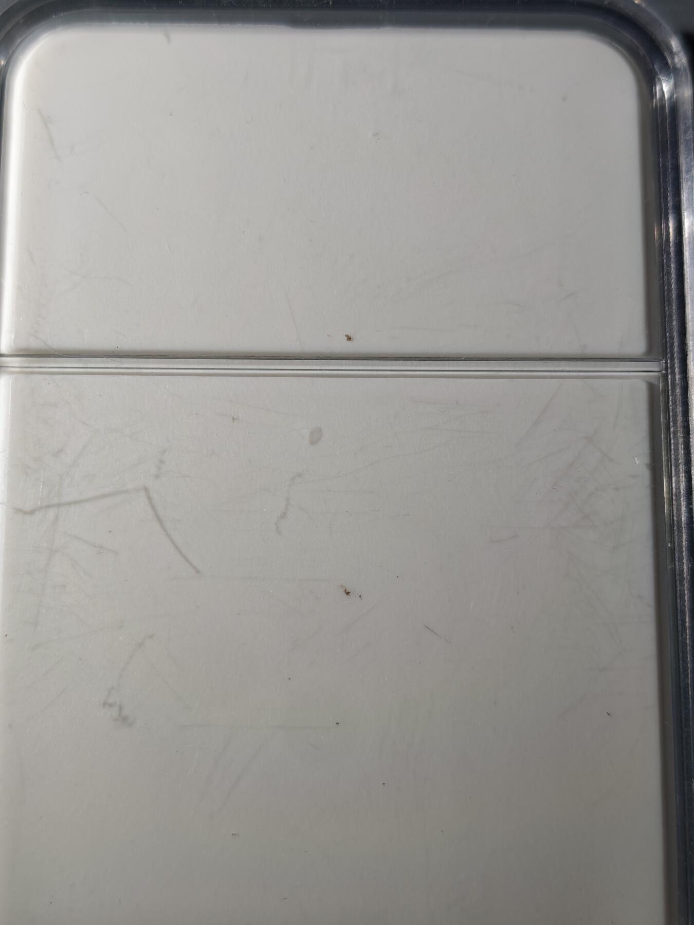 117期新疆红钱粟特钱币丝路钱币专场 邮票