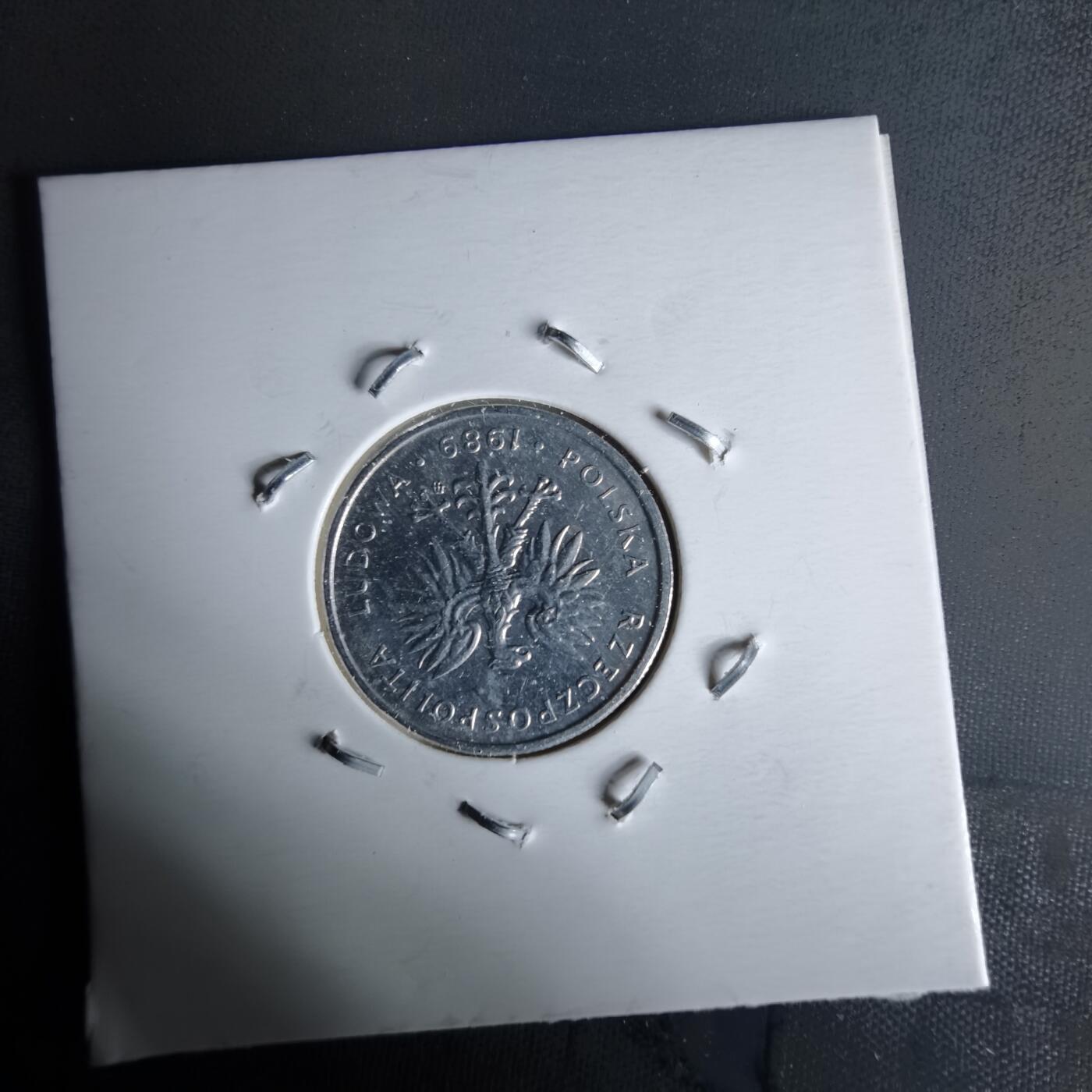 沼泽如烟--第991场 波兰1989年5兹罗提