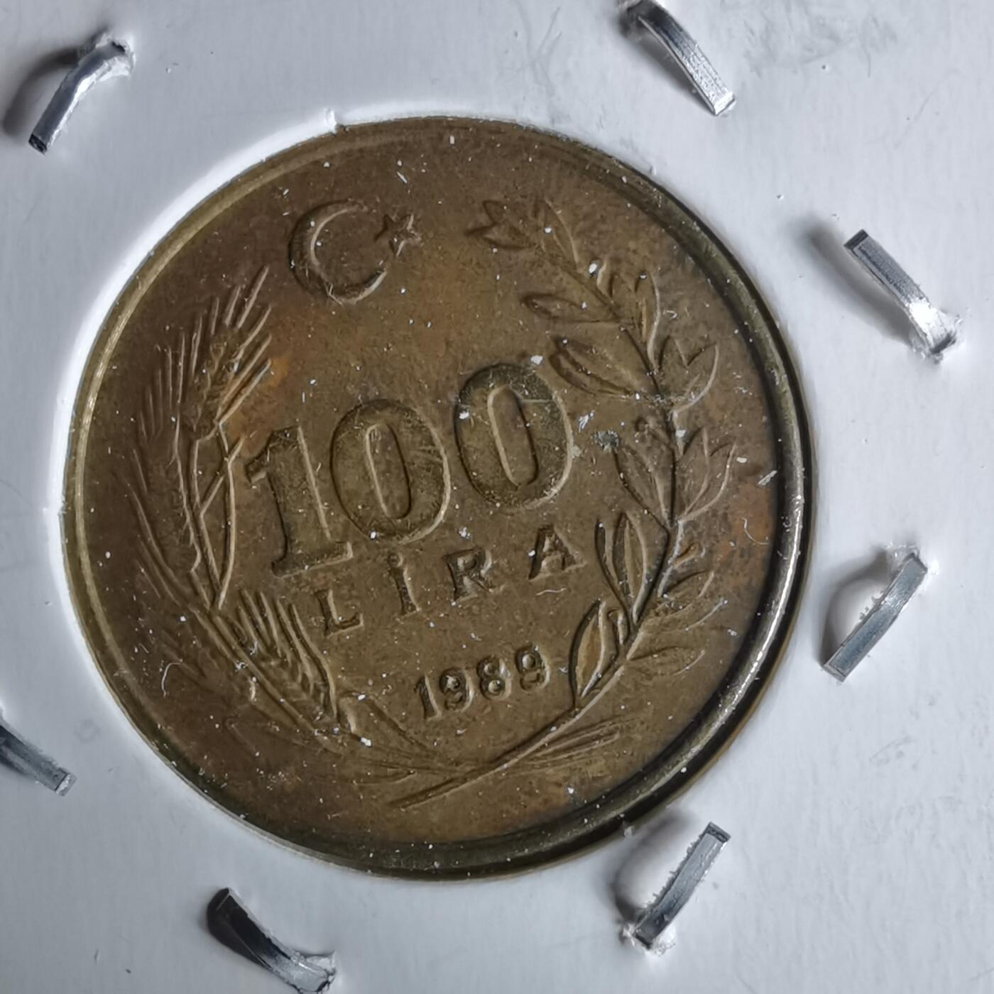 沼泽如烟--第991场 土耳其1989年100里拉