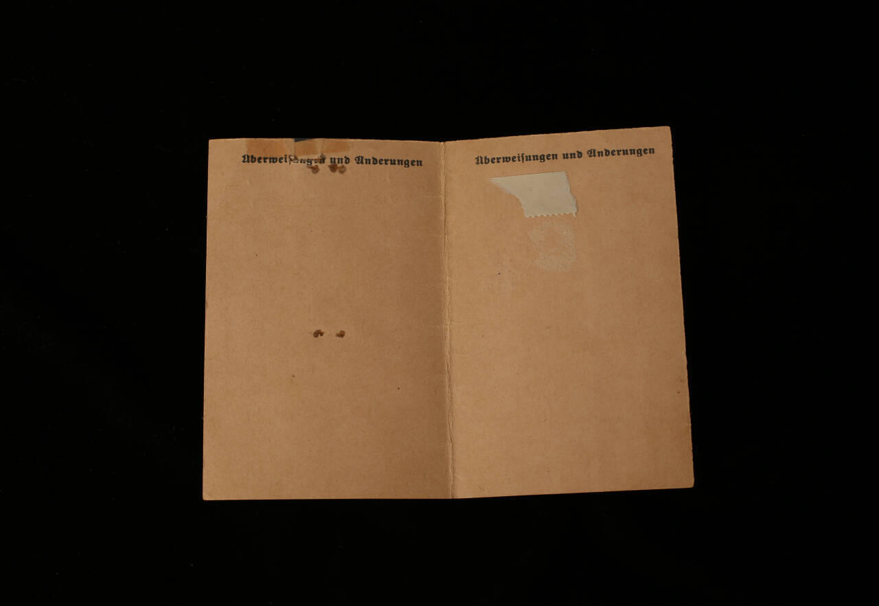 欢庆春节！戎马世界章牌大赏第112期春节大拍  德专场