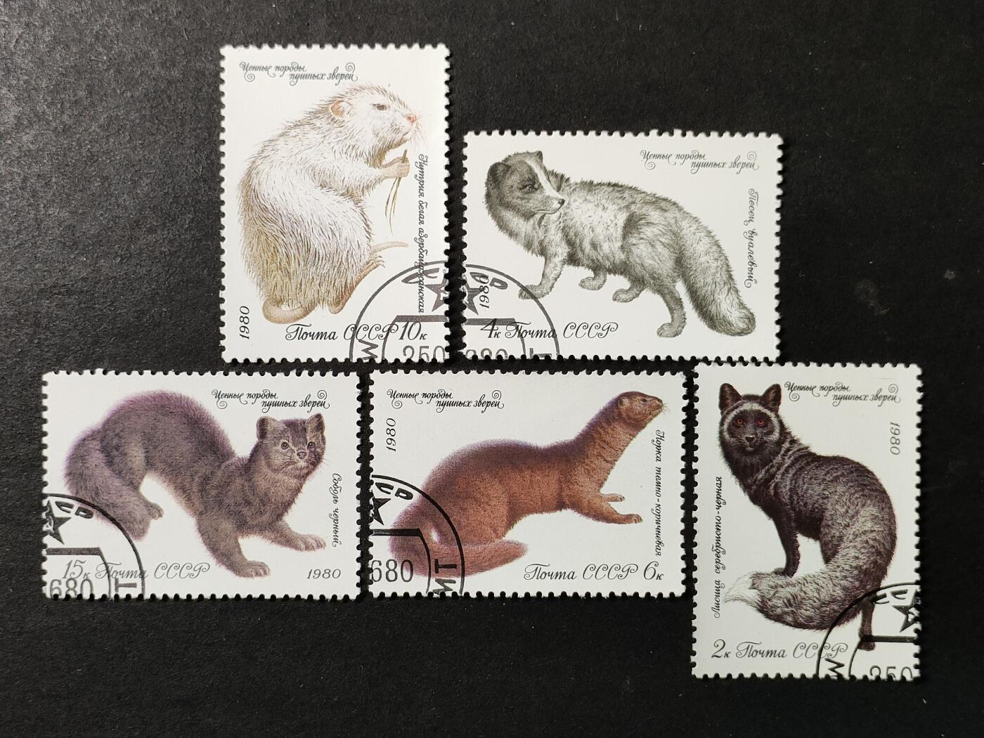 ↓君缘收藏739期☞钱币邮品↓无佣金、可寄存、满30元包邮  苏联邮票，1980年珍贵的皮毛动物 水貂 北极狐 紫貂邮票5全