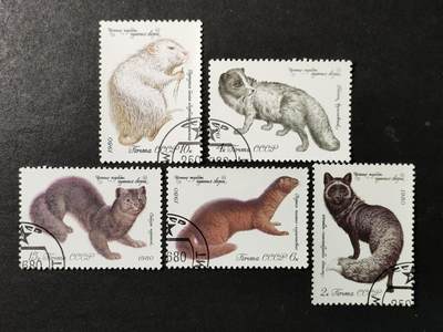 ↓君缘收藏739期☞钱币邮品↓无佣金、可寄存、满30元包邮  - 苏联邮票，1980年珍贵的皮毛动物 水貂 北极狐 紫貂邮票5全