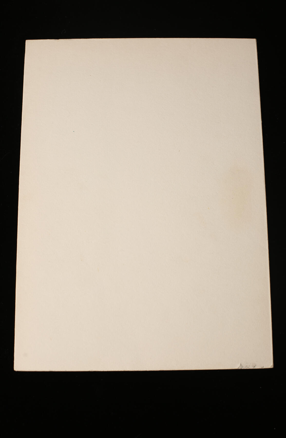 欢庆春节！戎马世界章牌大赏第112期春节大拍  德专场