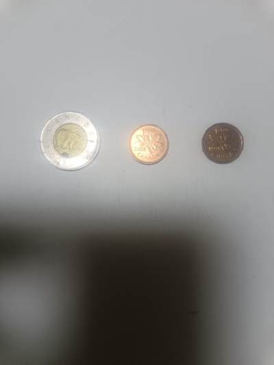 【20260212】非全新纸币和硬币第334场 - 加拿大2.02加元