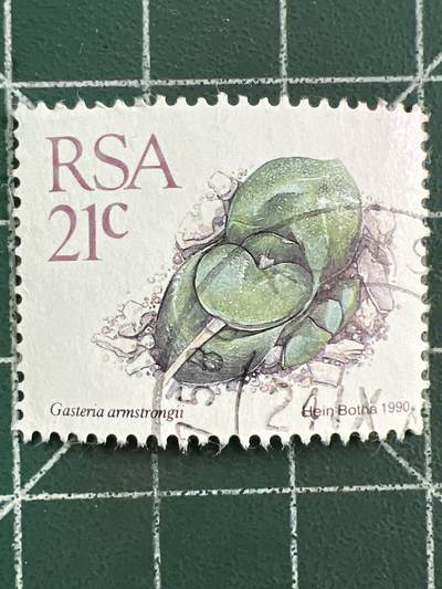 第1123  邮票专场 （无押金，捡漏，全场50包邮，偏远地区除外，接收代拍业务，本店十天发一次货） - 南非邮票