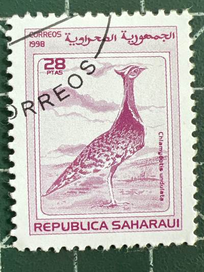 第1123  邮票专场 （无押金，捡漏，全场50包邮，偏远地区除外，接收代拍业务，本店十天发一次货） - 撒哈拉邮票