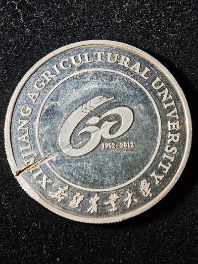 117期新疆红钱粟特钱币丝路钱币专场 - 纪念章