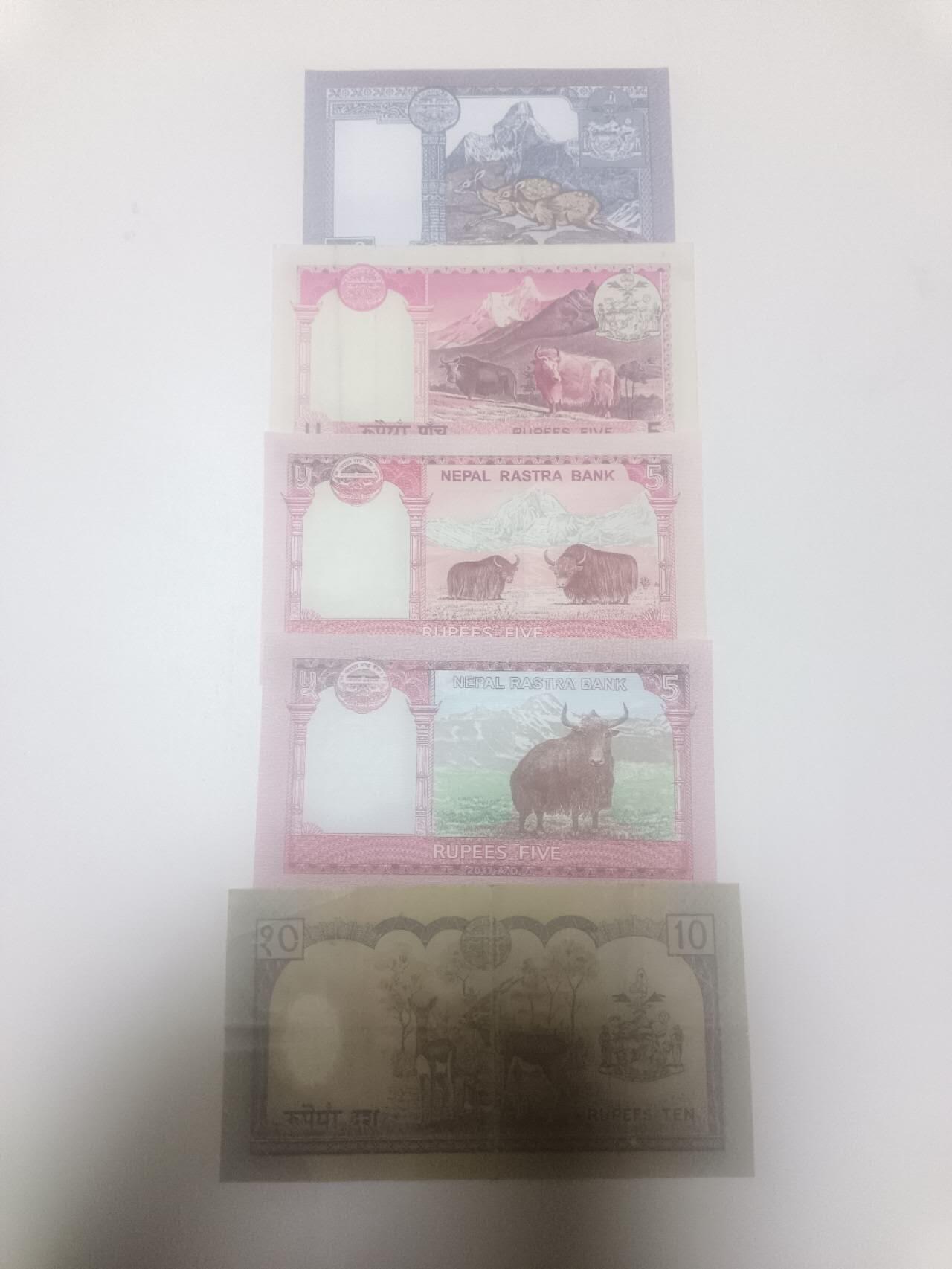 【20260212】非全新纸币和硬币第334场 尼泊尔5张纸币不同版本