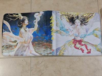 夜之极第三十九期 （2月11日周三晚9点截拍，欢迎竞拍） - 【卡册】燎原 妖姬传 典藏册 十二宫 D环 无卡页