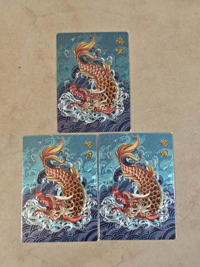 夜之极第三十九期 （2月11日周三晚9点截拍，欢迎竞拍） - 卡德曼 盲盒背卡 荷南 螭吻三宫 粗闪