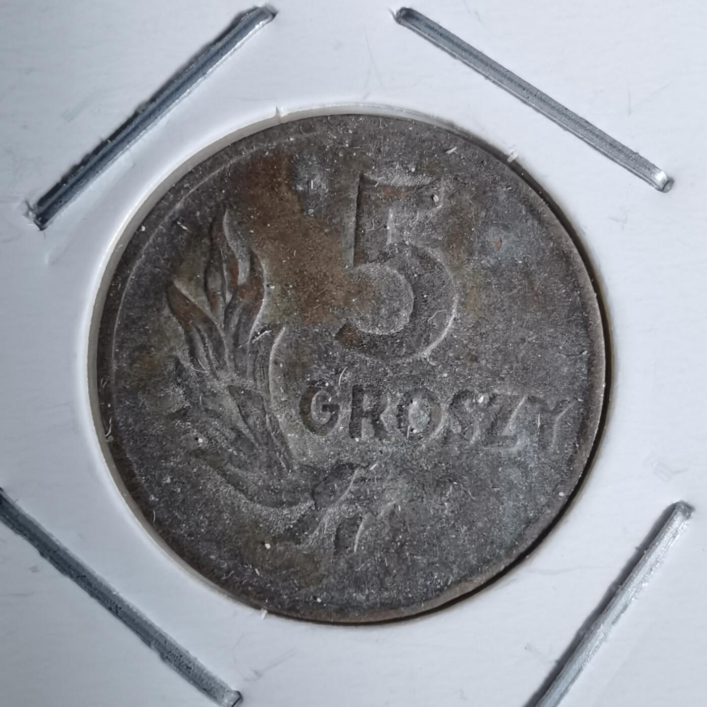 沼泽如烟--第991场 待补图