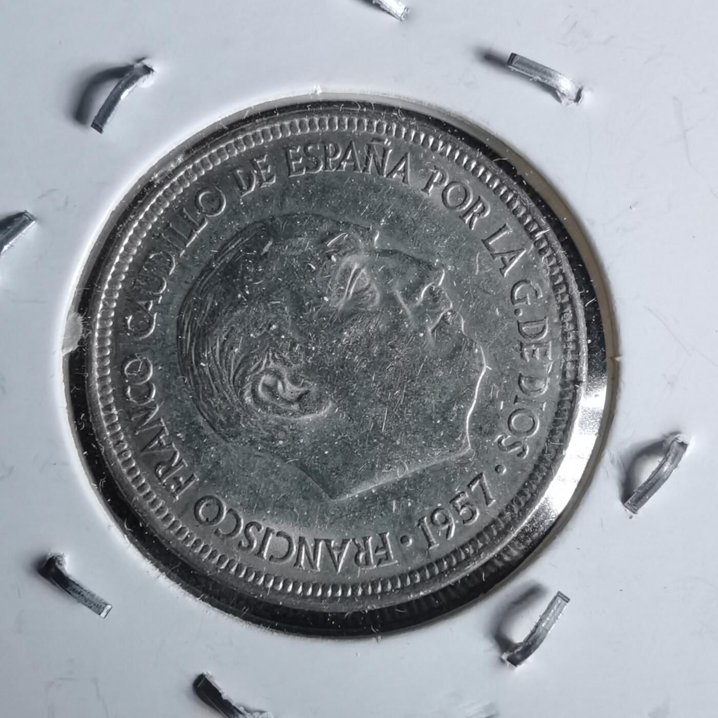 沼泽如烟--第991场