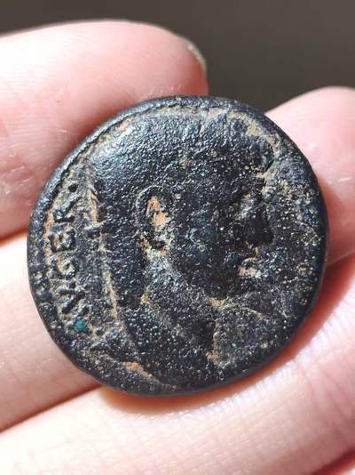 星盘世界钱币二月二十一日初五 世界古典币春节精品大拍 祝各位藏友马年大吉-新年新气象！ - 少见！罗马帝国 公元41-54年打制 克劳狄乌斯 很少见的皇帝 他的罗马本土钱贵的一批 适合凑十二凯撒安条克行省阿斯（币值对标罗马本土阿斯） 厚重黑漆古大铜币  手感非常好