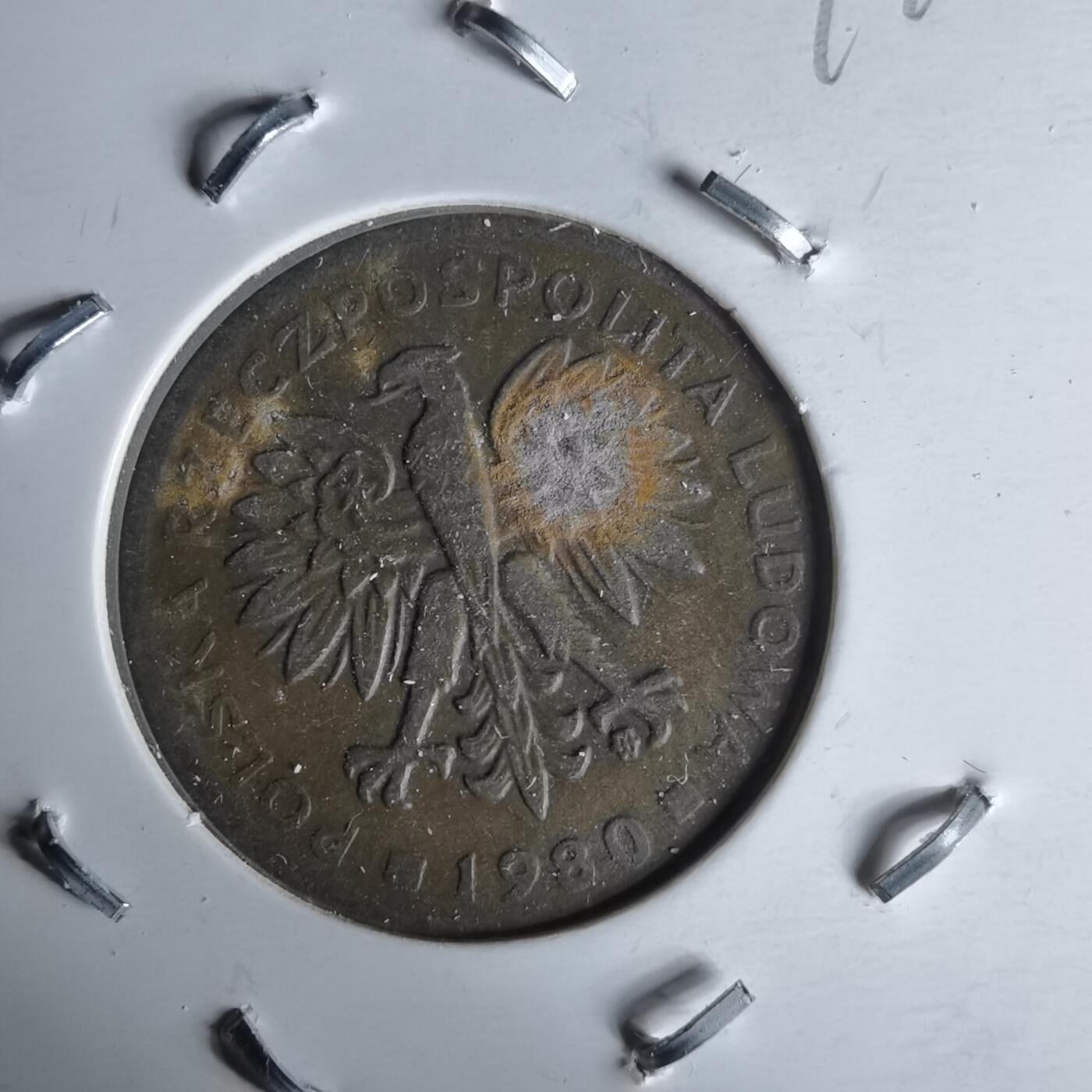 沼泽如烟--第991场 波兰1980年2兹罗提