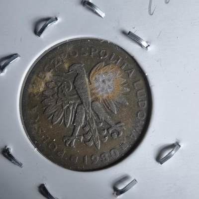 沼泽如烟--第991场 - 波兰1980年2兹罗提