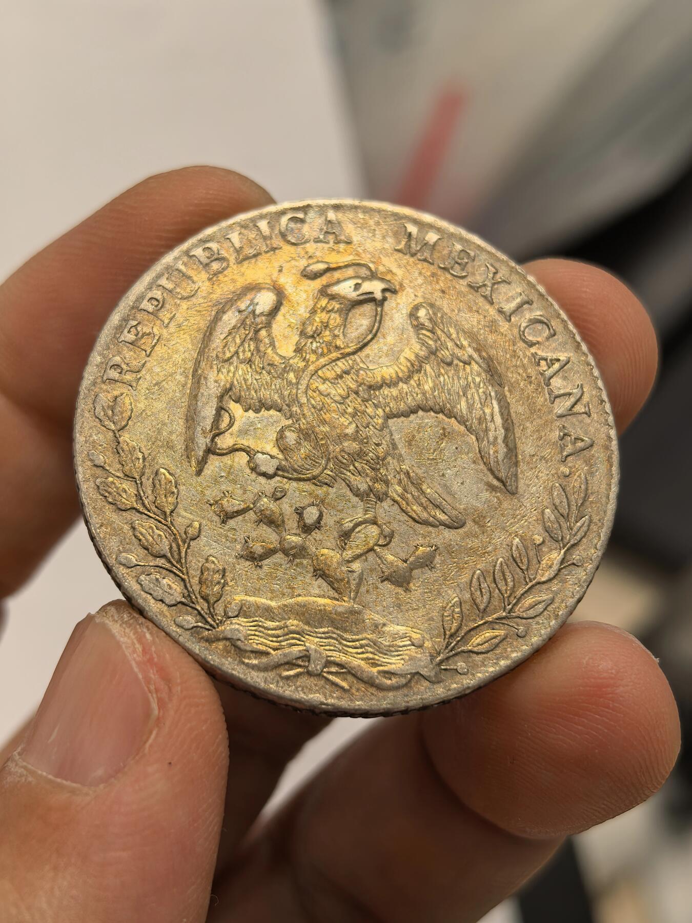 博洋堂蛇年收官专场暨第161期（全场包邮） 墨西哥1887MO MH版花边鹰洋 五彩好品