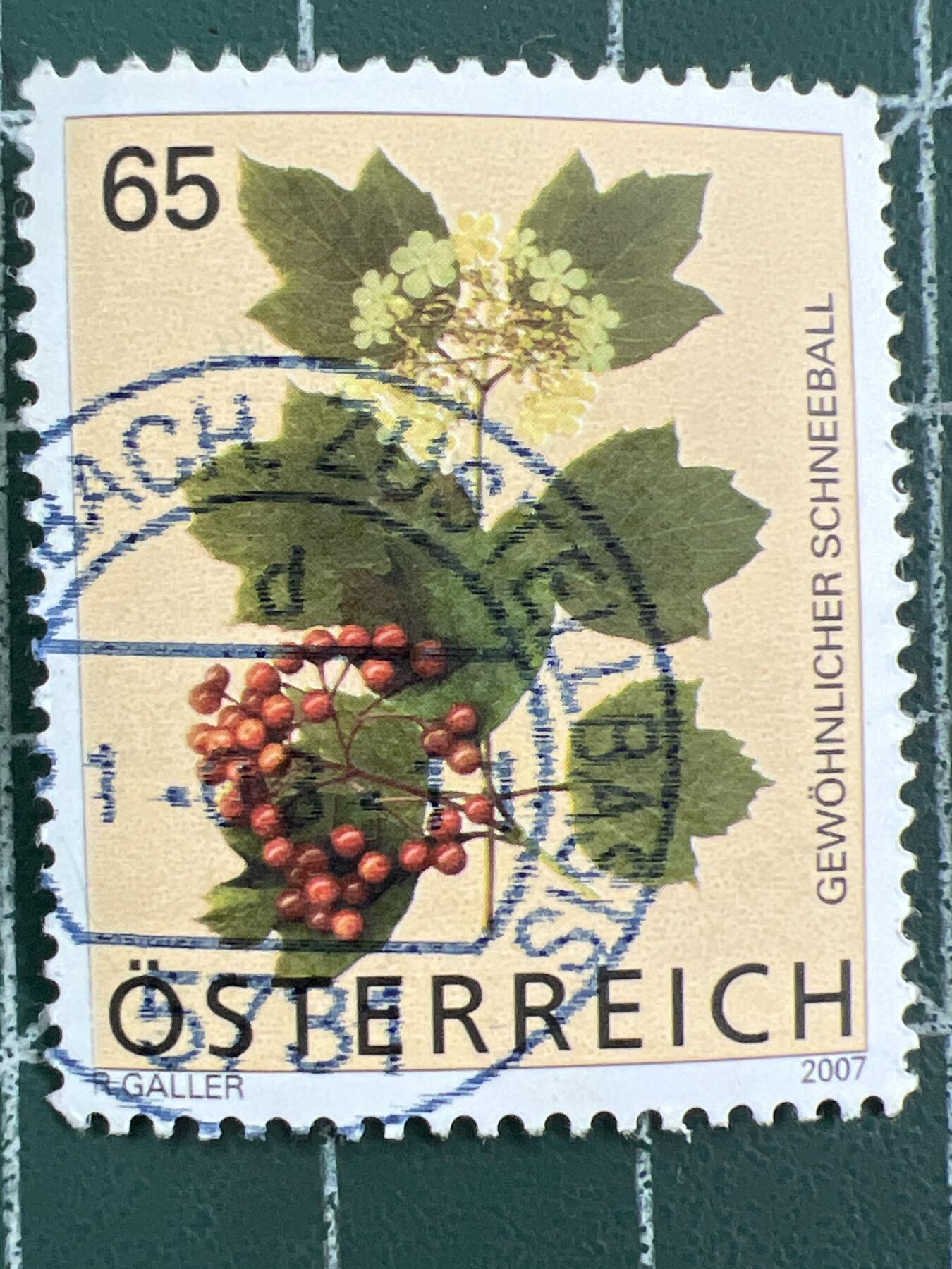 第1123  邮票专场 （无押金，捡漏，全场50包邮，偏远地区除外，接收代拍业务，本店十天发一次货） 奥地利植物邮票