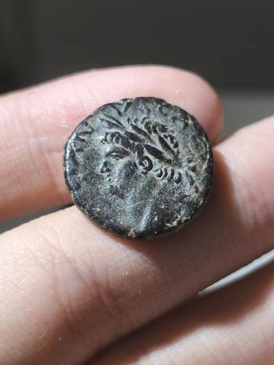 美品！罗马帝国-图密善 SC - “元老院授权” 81-96年 东方城市厚重大铜币 这种类型铜币可能由中央造币并在地方使用