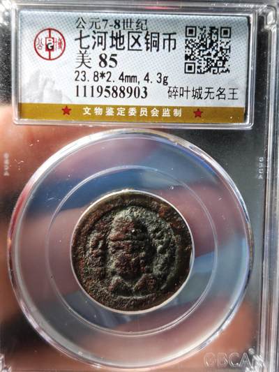117期新疆红钱粟特钱币丝路钱币专场 - 七河地区铜币 碎叶城无名王