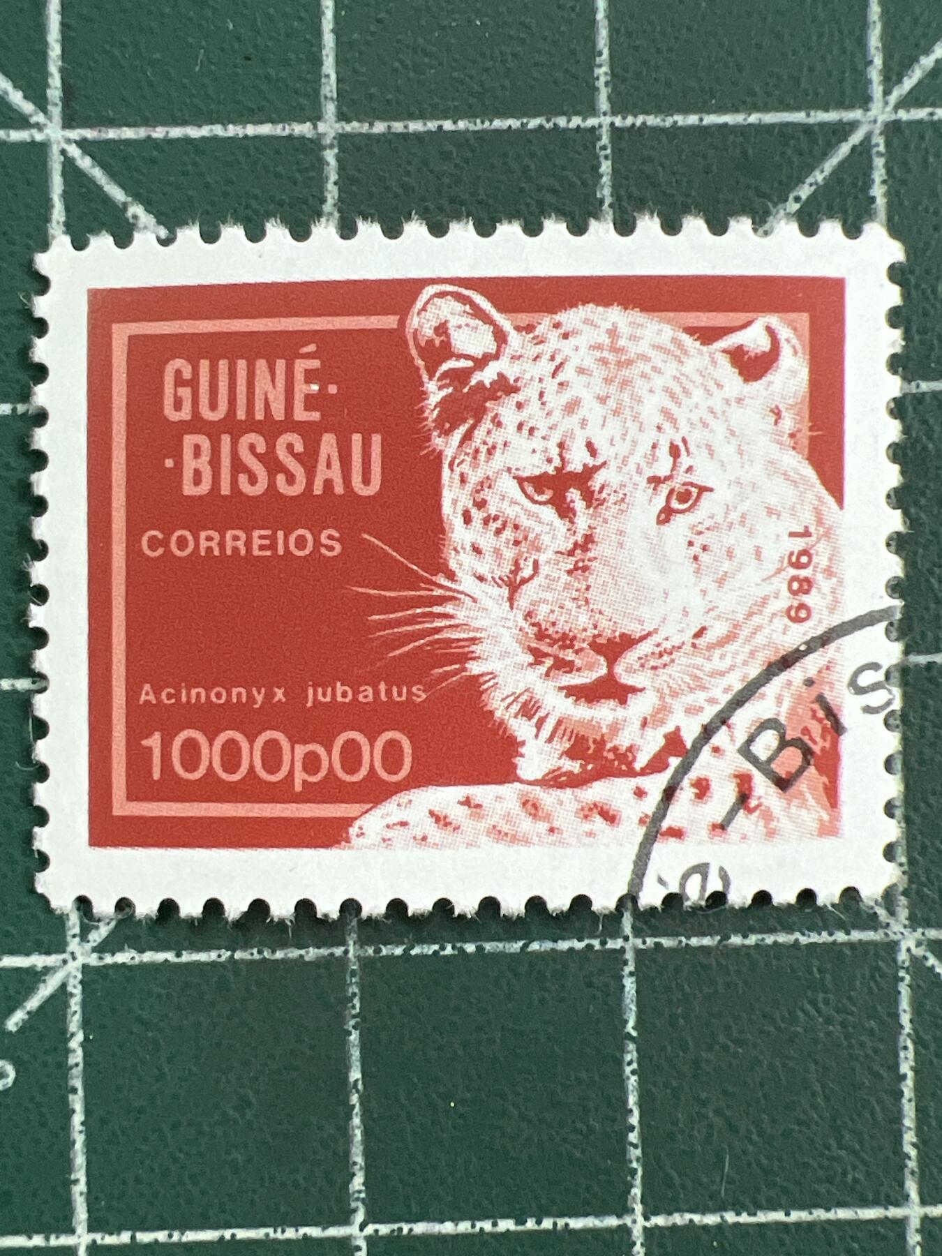 第1123  邮票专场 （无押金，捡漏，全场50包邮，偏远地区除外，接收代拍业务，本店十天发一次货） 几内亚邮票