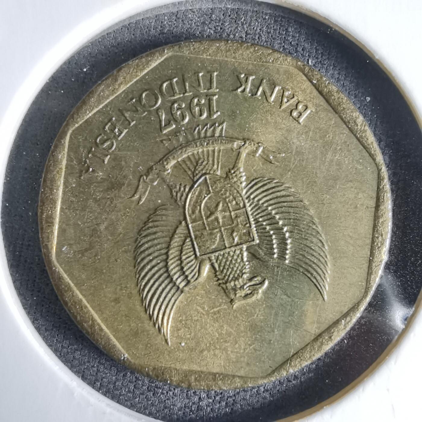 沼泽如烟--第992场