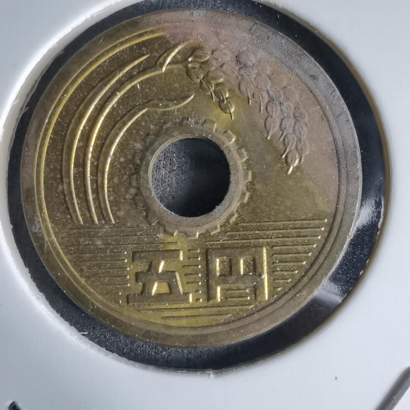 沼泽如烟--第992场 昭和五十二年五元