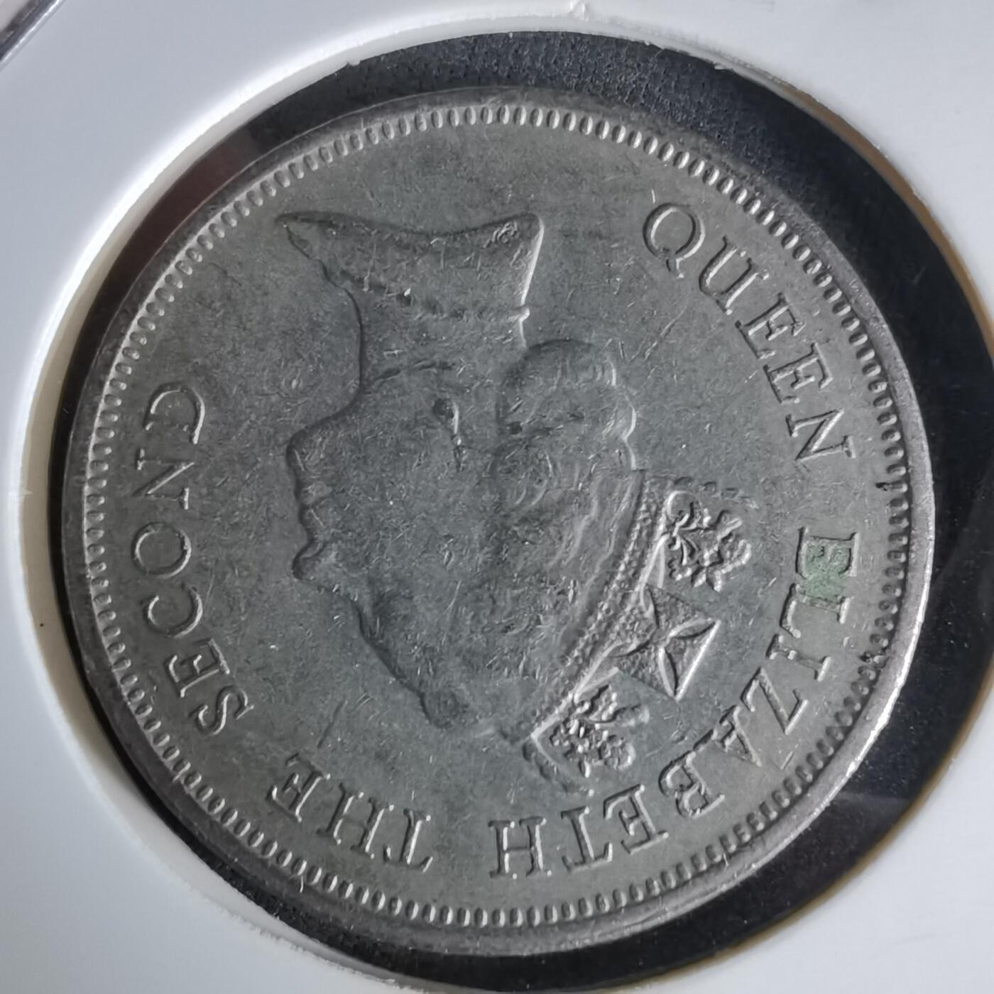 沼泽如烟--第992场