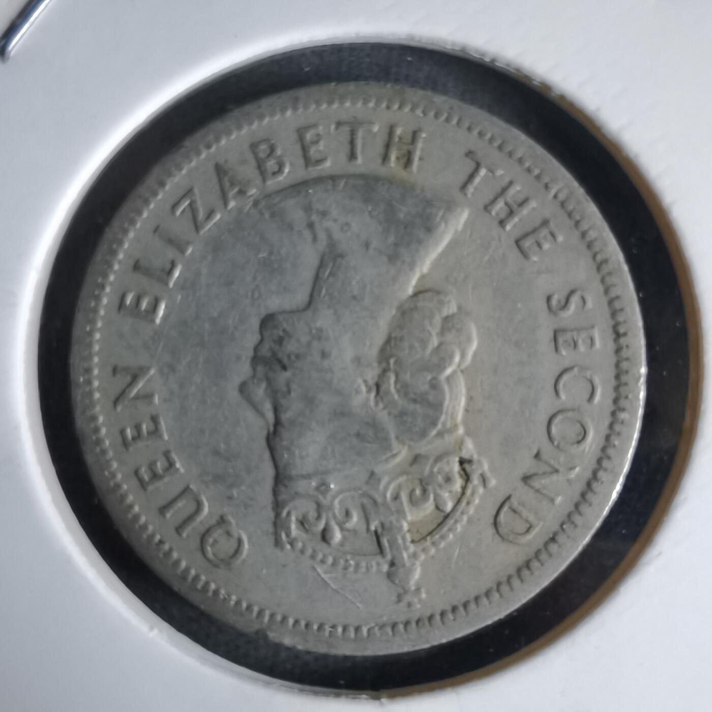 沼泽如烟--第992场