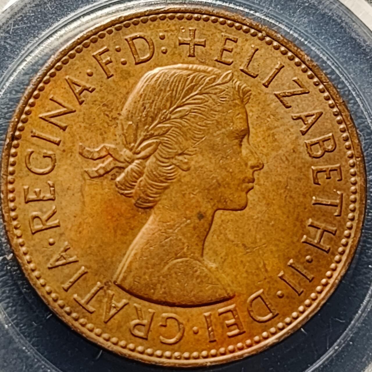 泉币菌-第190场- 精品福利场 。