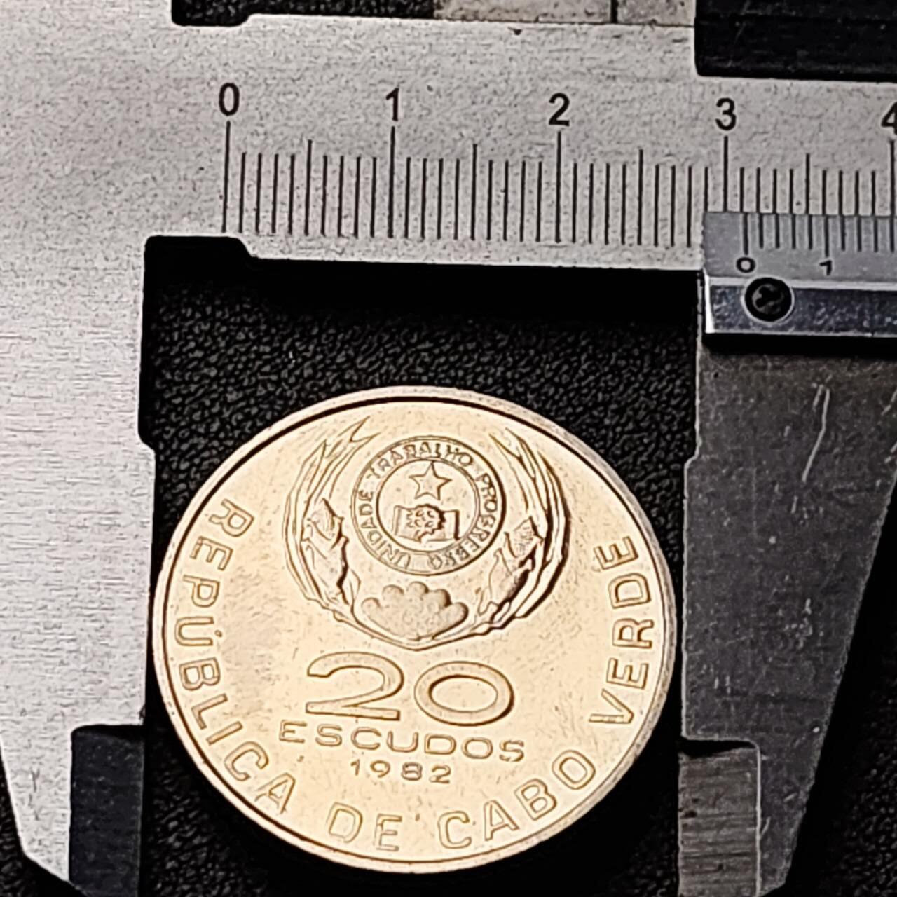 泉币菌-第191场- 迎春节专场 本场拍品多 请提前出价（本周五和之前拍的 2月14日发货） 。