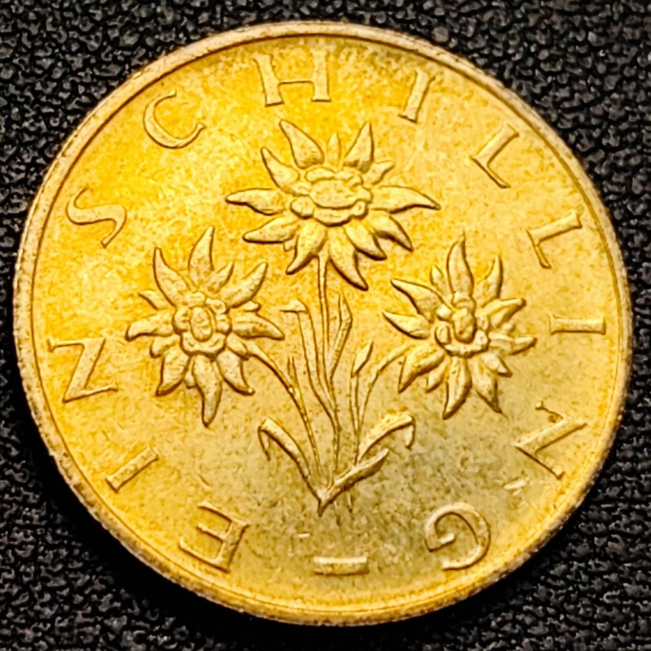 泉币菌-第187场- 精品福利场 （本周五和之前拍的 2月14日发货） 。