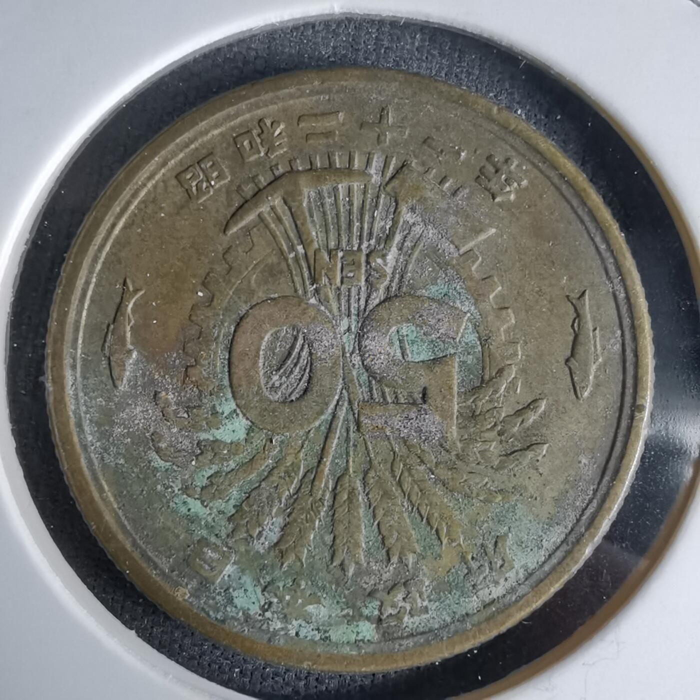 沼泽如烟--第992场