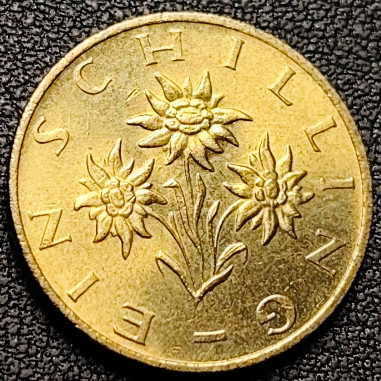 泉币菌-第190场- 精品福利场 。