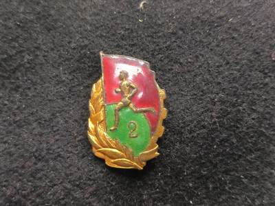 （450件拍品！制服徽章盛宴）罗岚⭐爱藏⭐年前甄选大拍场-店主清仓处理-分享拍场额外现金红包（实体经营） - su-M55式时期 二级运动员证章 黄铜热珐琅材质 背“空军”军用版