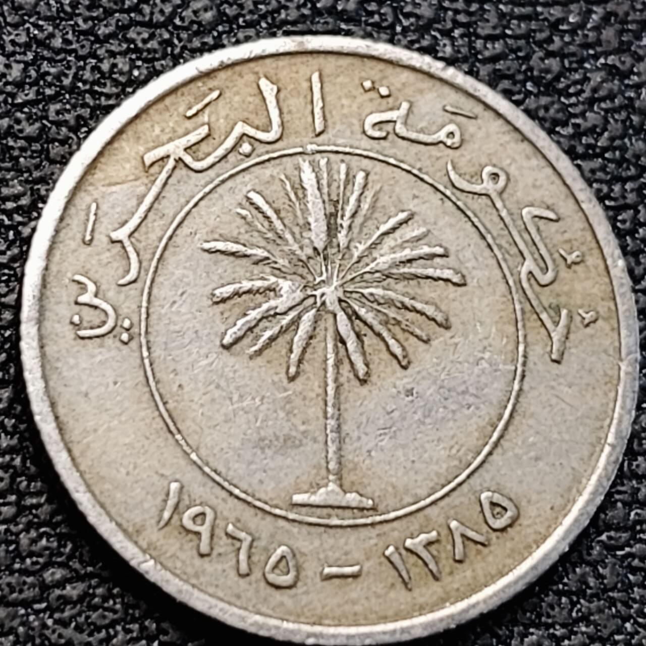 泉币菌-第187场- 精品福利场 （本周五和之前拍的 2月14日发货） 。