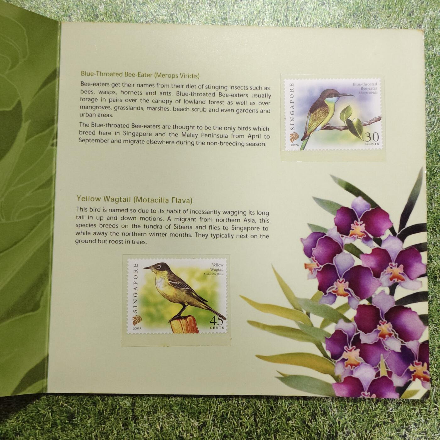 【全场包邮】纯粹捡漏拍503场