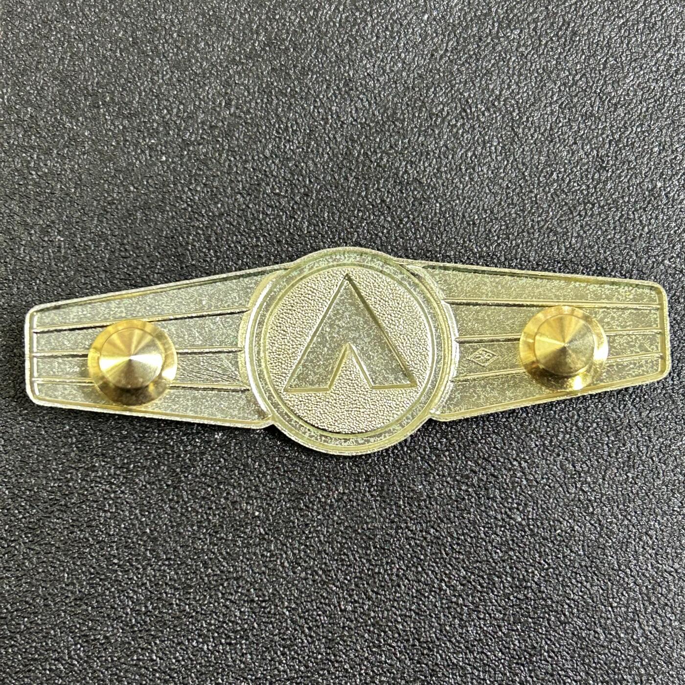 西秦中古拍卖第七十七期 2026马年新春专场 本场拍品年初九发出 西德 联邦德国 银级后勤军官技能等级证章