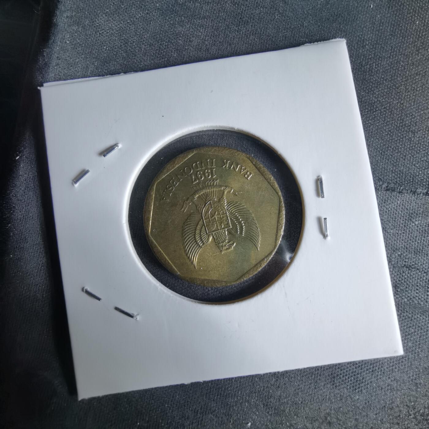 沼泽如烟--第992场