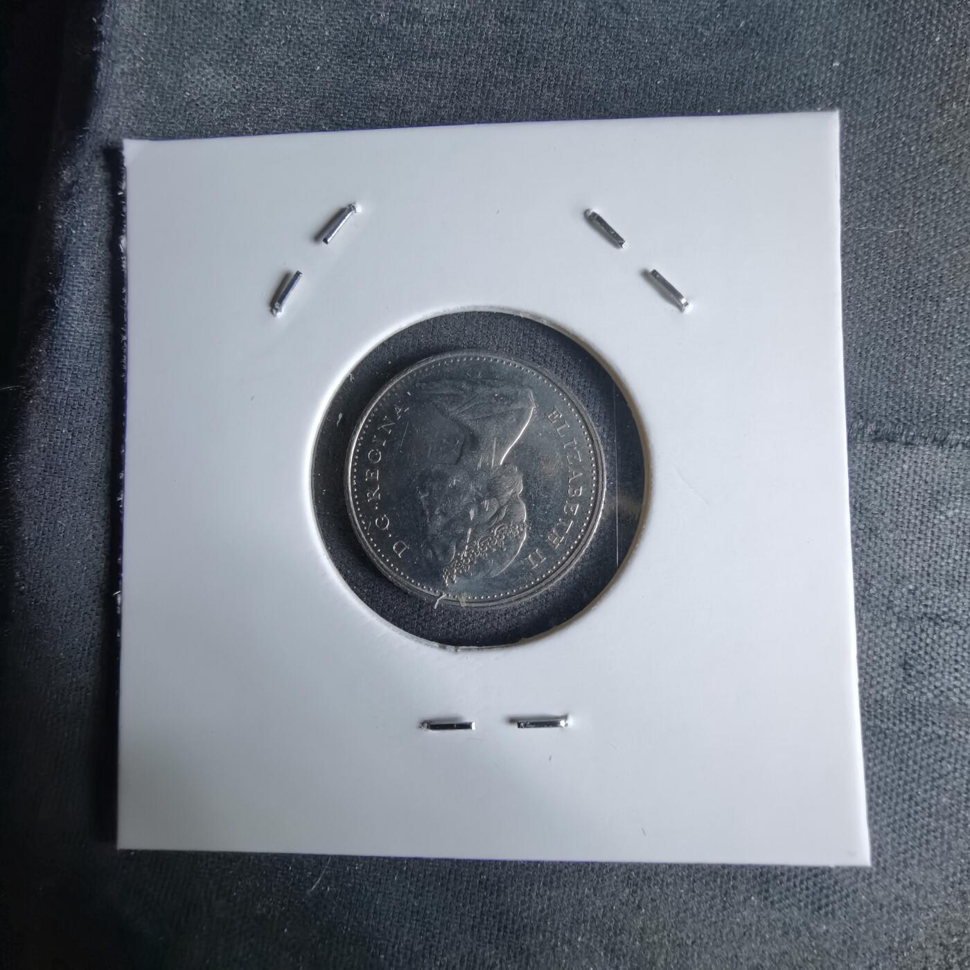 沼泽如烟--第992场