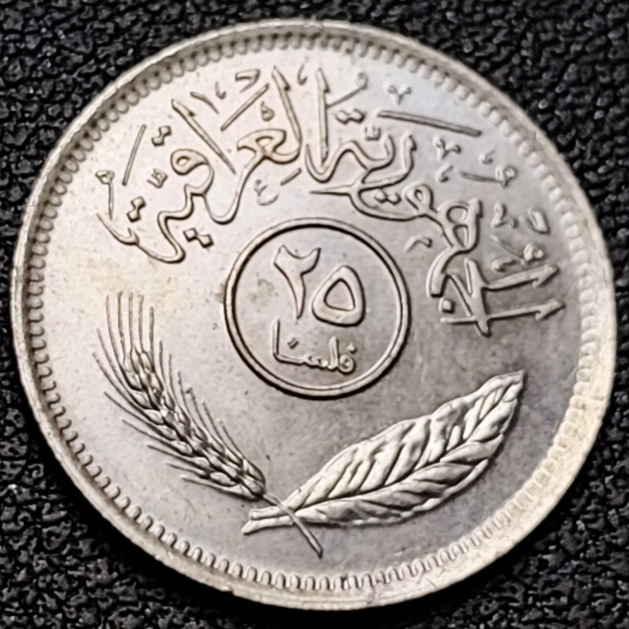 泉币菌-第190场- 精品福利场 。