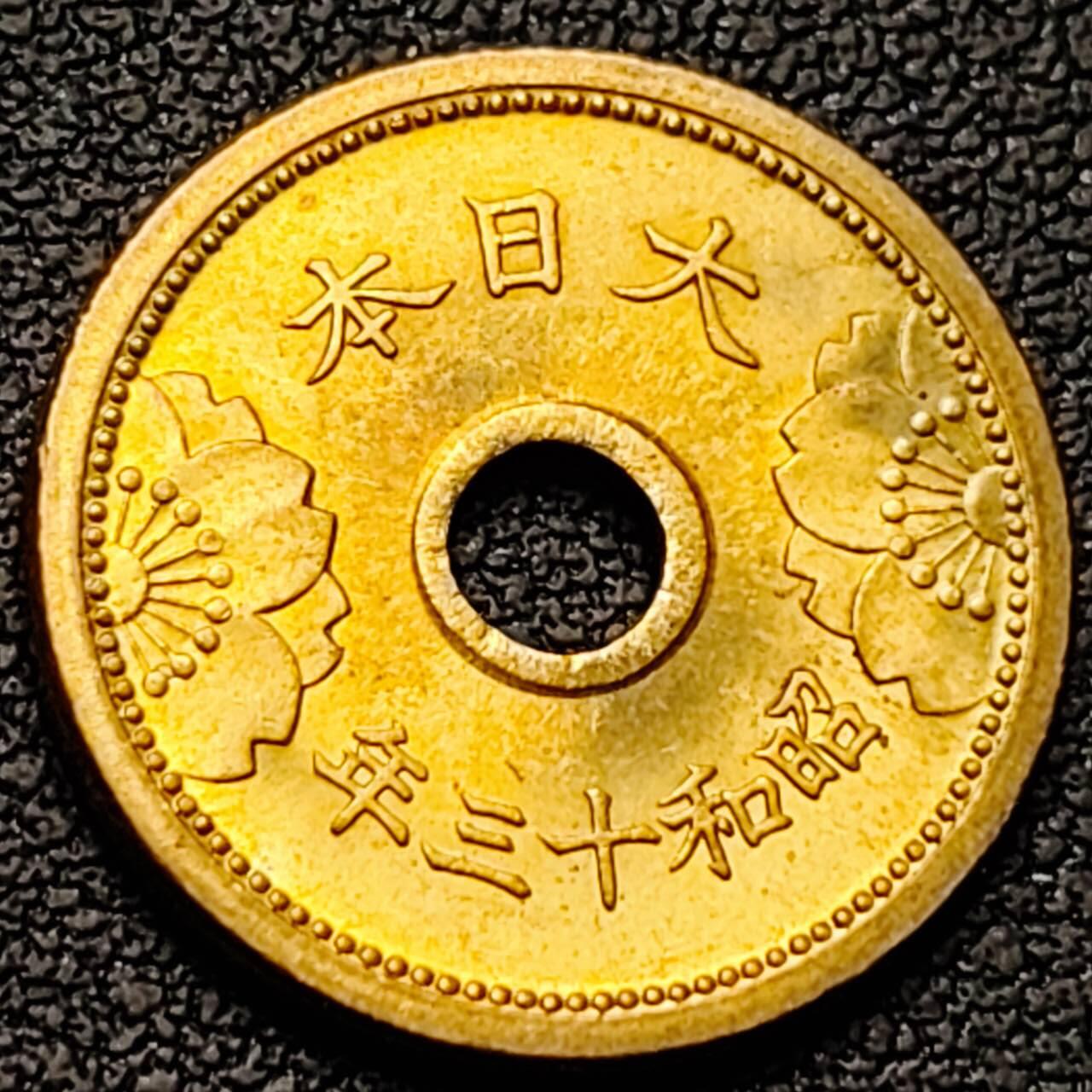 泉币菌-第190场- 精品福利场 。