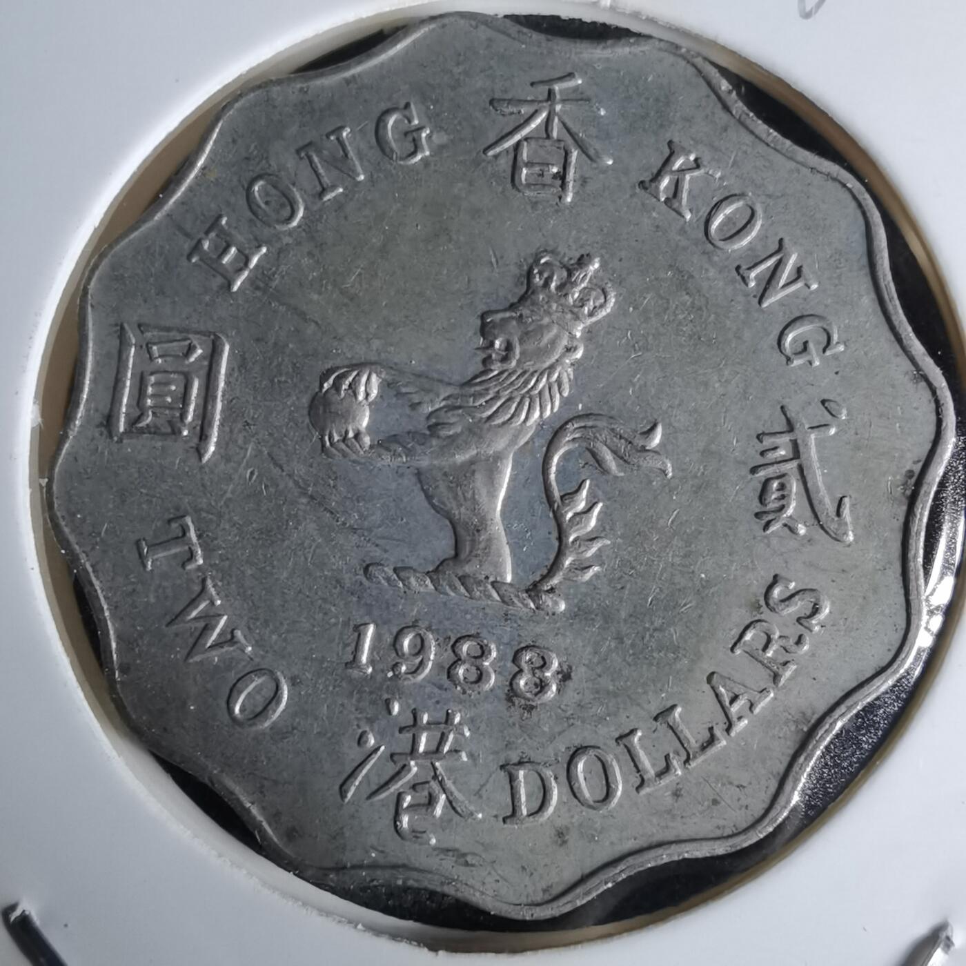 沼泽如烟--第992场