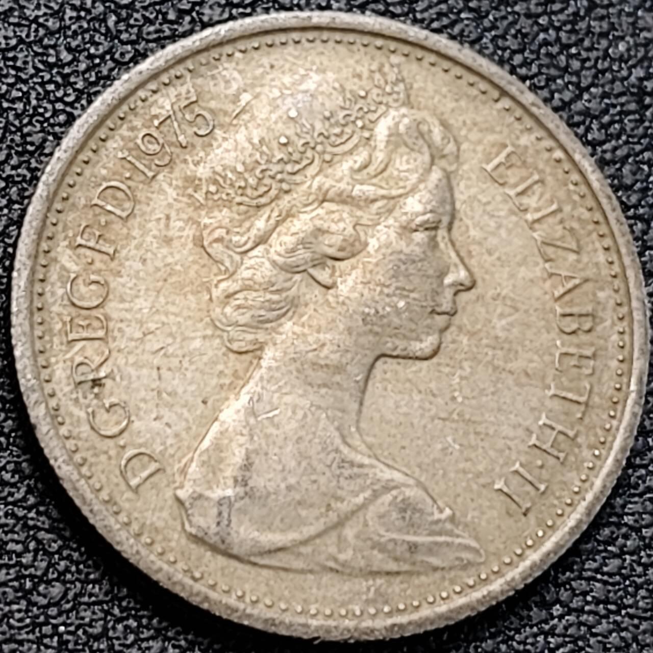 泉币菌-第187场- 精品福利场 （本周五和之前拍的 2月14日发货） 。