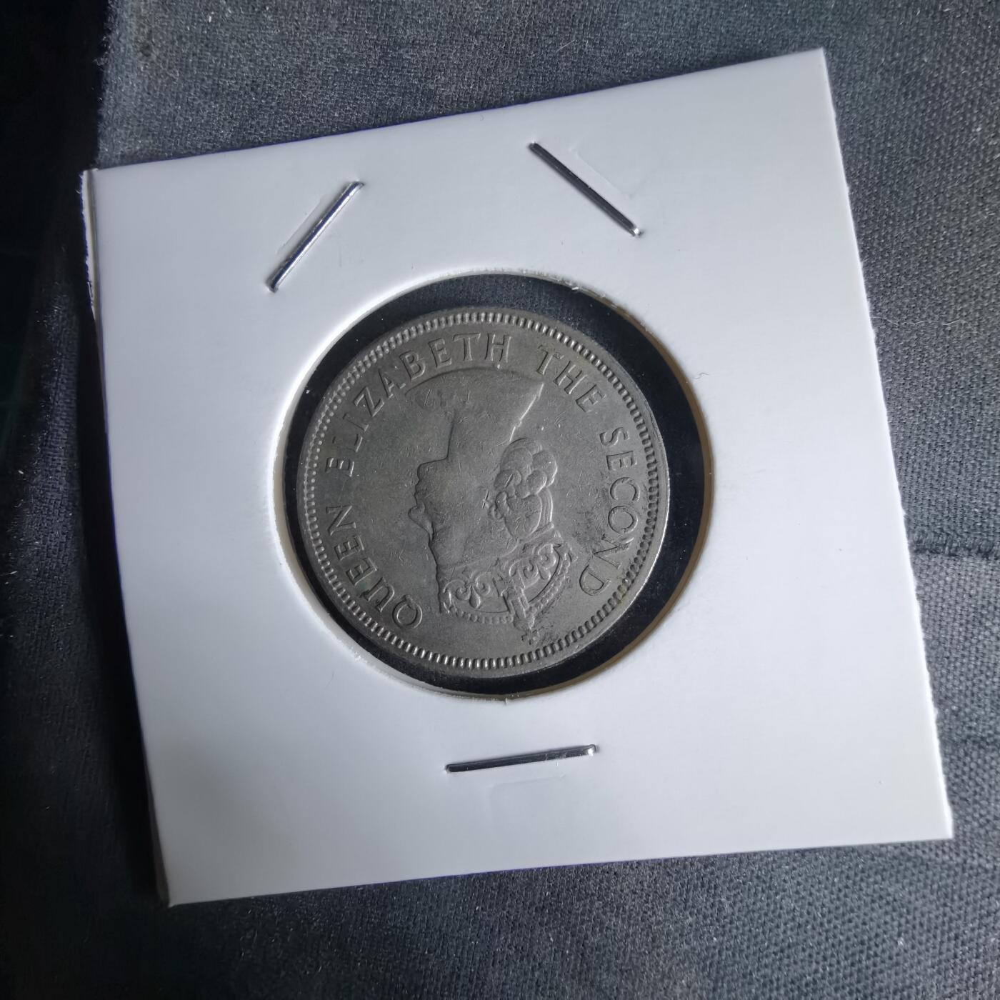 沼泽如烟--第992场